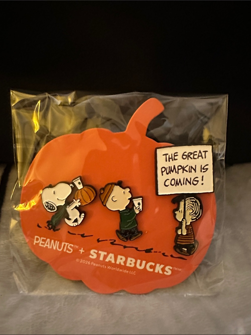Starbucks x Peanuts Pumpkin Magnet in Orange